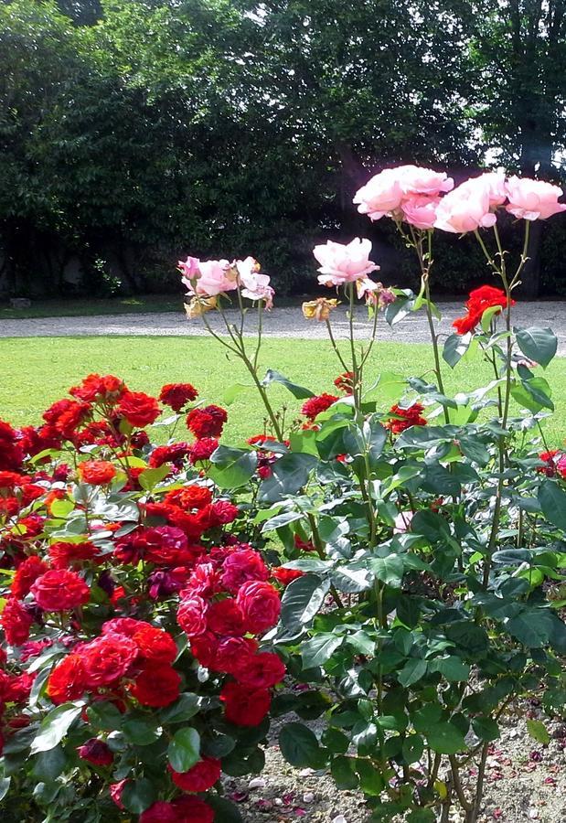 Bed and Breakfast Le Logis De Ruelle Экстерьер фото